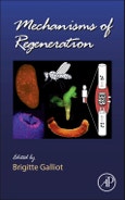 Mechanisms of Regeneration. Current Topics in Developmental Biology Volume 108- Product Image
